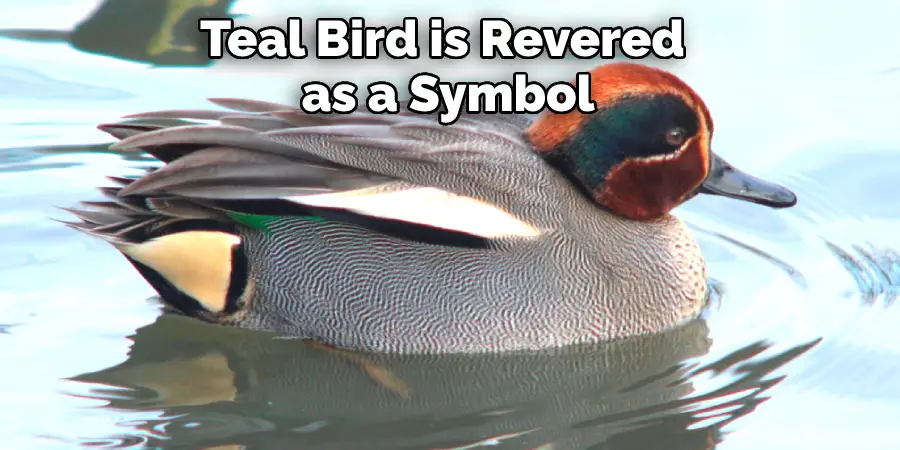 Teal Bird is Revered as a Symbol
