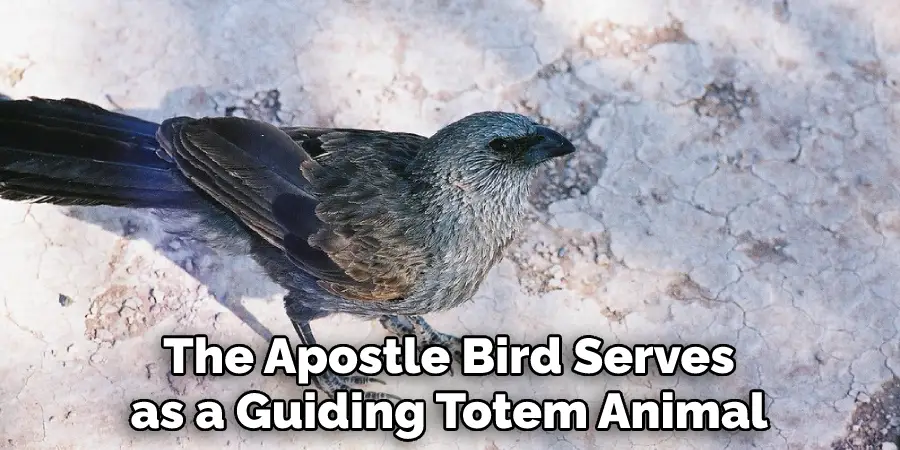 The Apostle Bird Serves as a Guiding Totem Animal