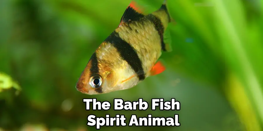 The Barb Fish Spirit Animal