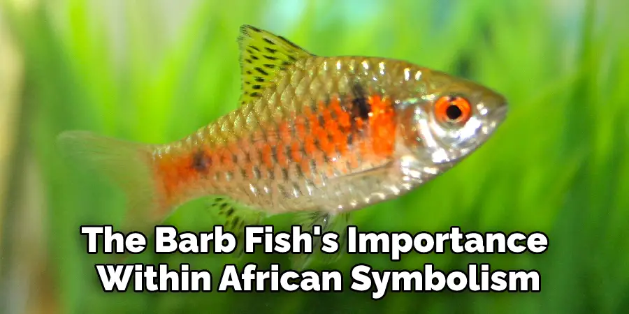The Barb Fish's Importance Within African Symbolism