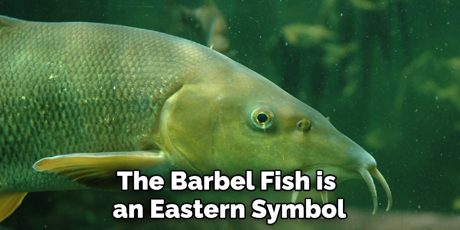 The Barbel Fish is an Eastern Symbol