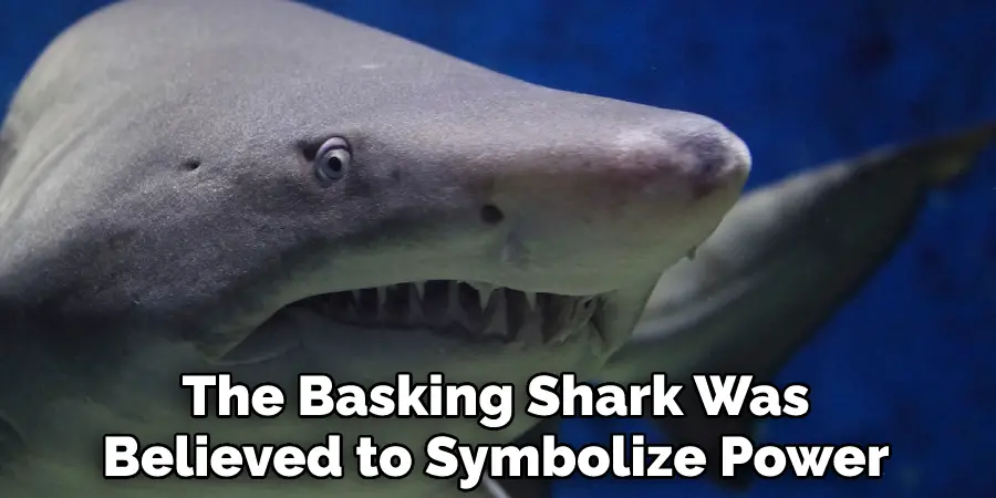 The Basking Shark Was Believed to Symbolize Power