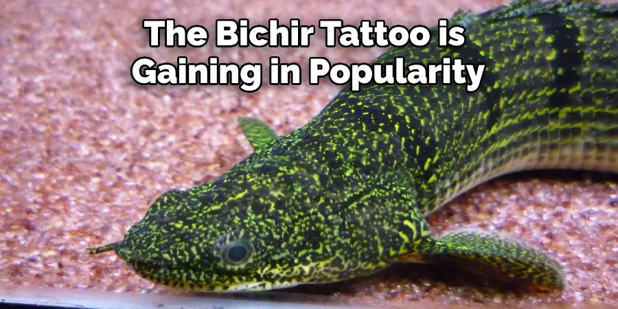 The Bichir Tattoo is Gaining in Popularity