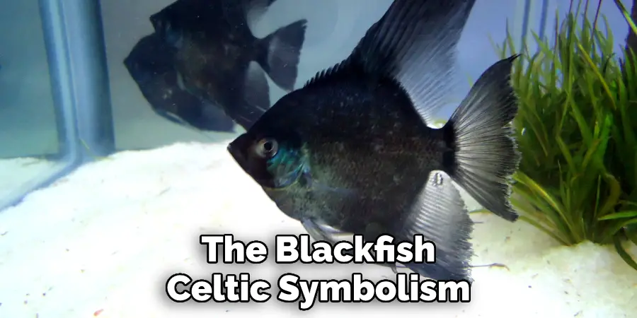 The Blackfish Celtic Symbolism