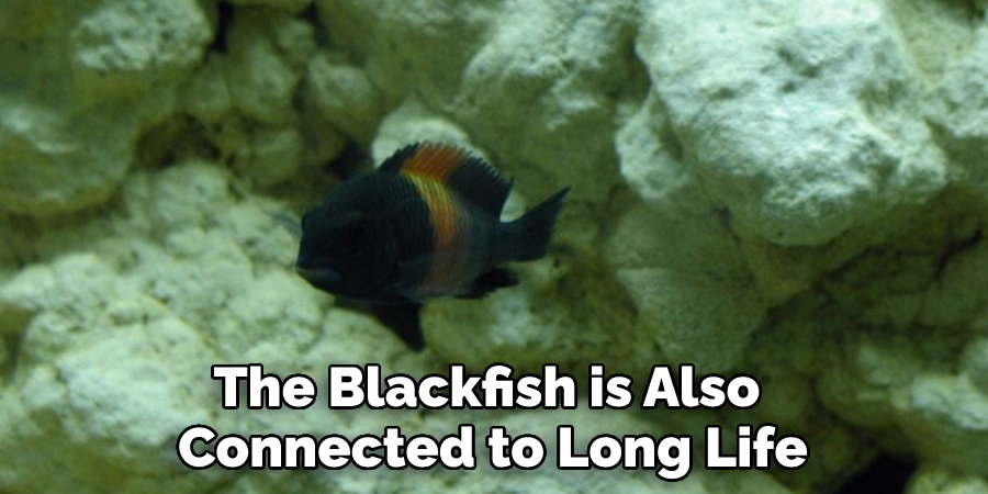 The Blackfish is Also Connected to Long Life