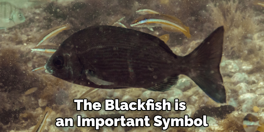 The Blackfish is an Important Symbol
