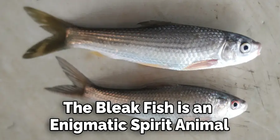 The Bleak Fish is an Enigmatic Spirit Animal