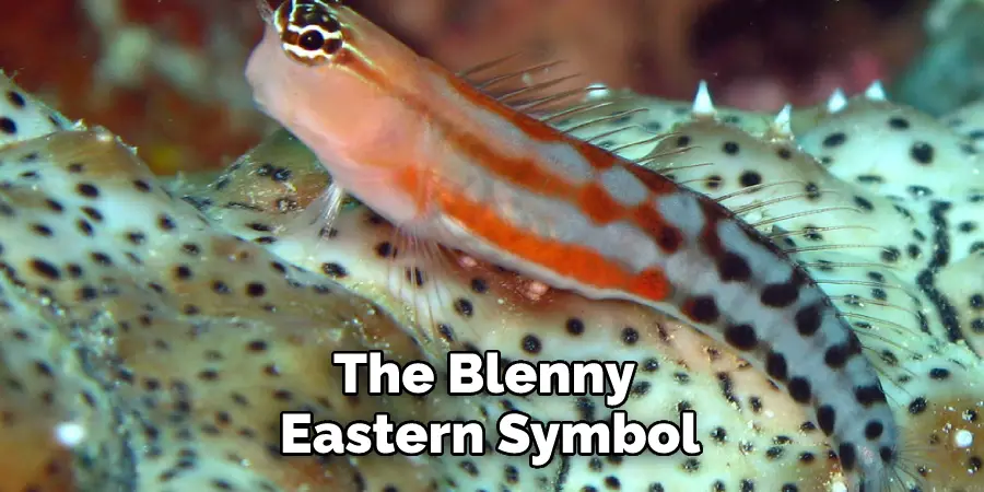 The Blenny Eastern Symbol