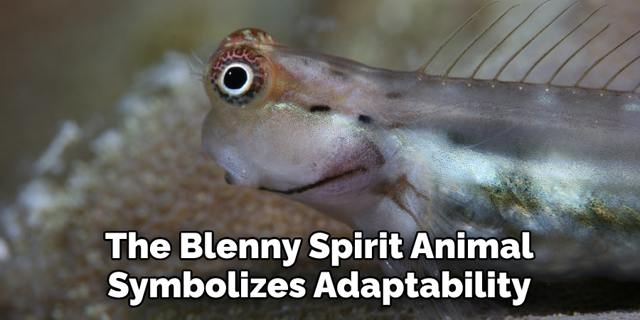 The Blenny Spirit Animal
Symbolizes Adaptability