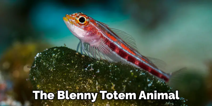 The Blenny Totem Animal