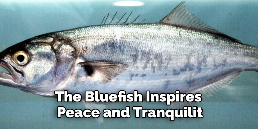 The Bluefish Inspires 
Peace and Tranquilit