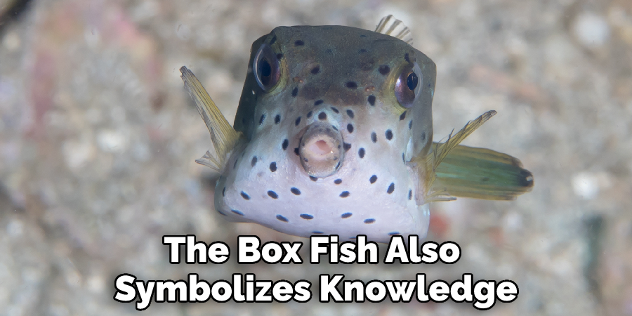 The Box Fish Also Symbolizes Knowledge