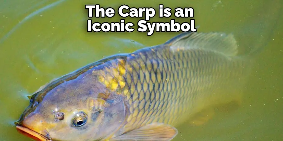 The Carp is an Iconic Symbol