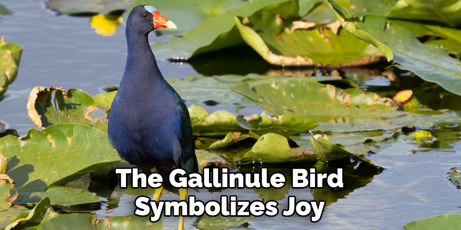 The Gallinule Bird Symbolizes Joy