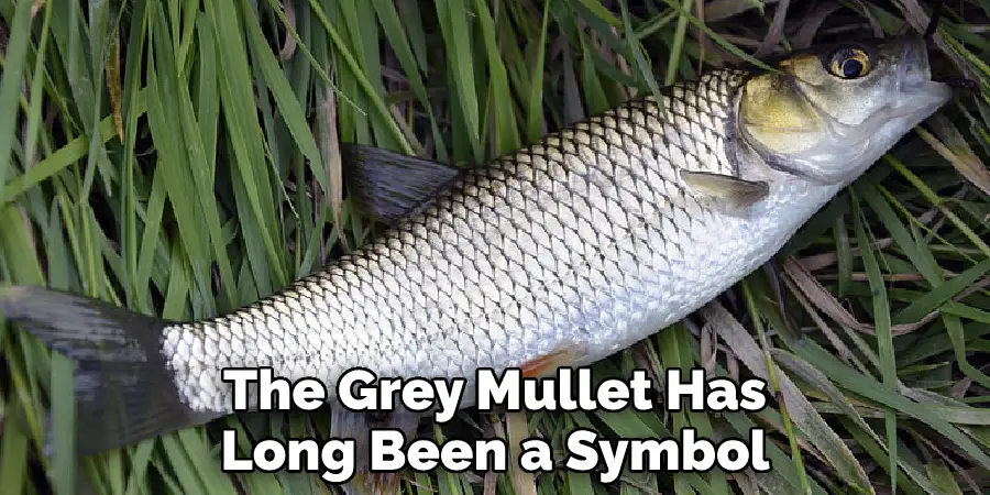 The Grey Mullet Has Long Been a Symbol