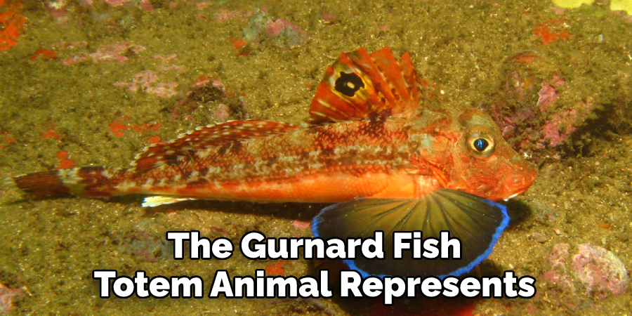 The Gurnard Fish
Totem Animal Represents
