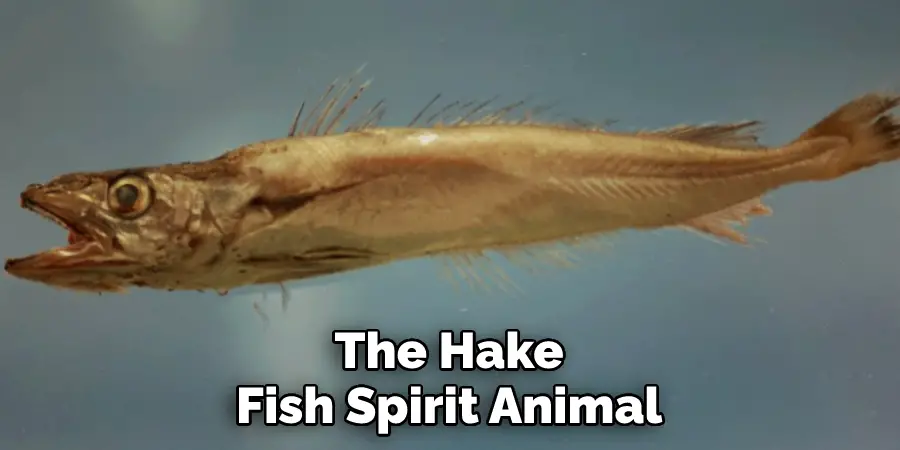 The Hake Fish Spirit Animal