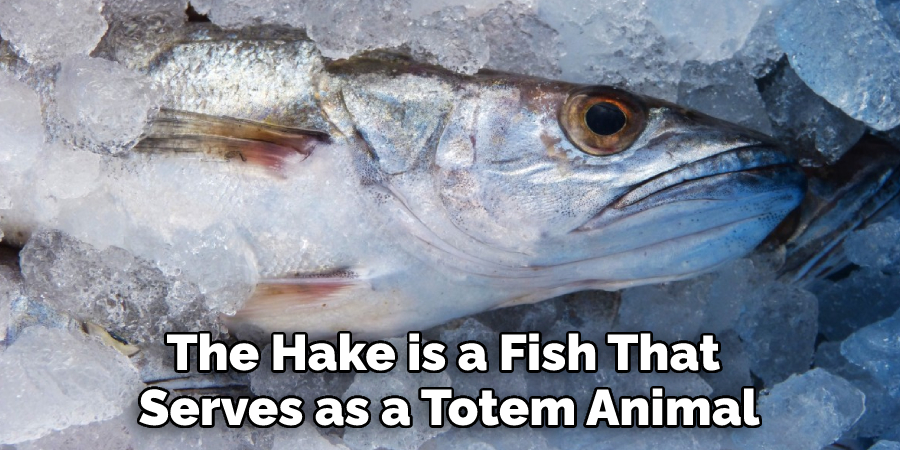 The Hake is a Fish That Serves as a Totem Animal
