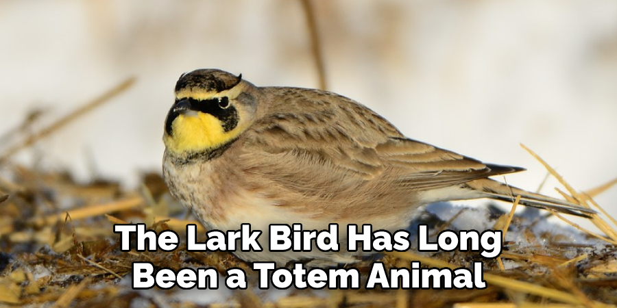 The Lark Bird Has Long Been a Totem Animal