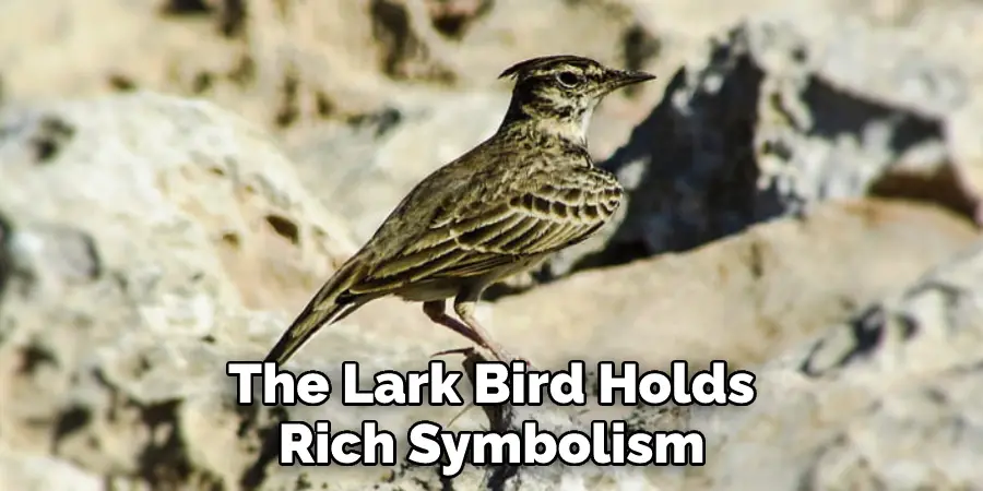 The Lark Bird Holds
Rich Symbolism