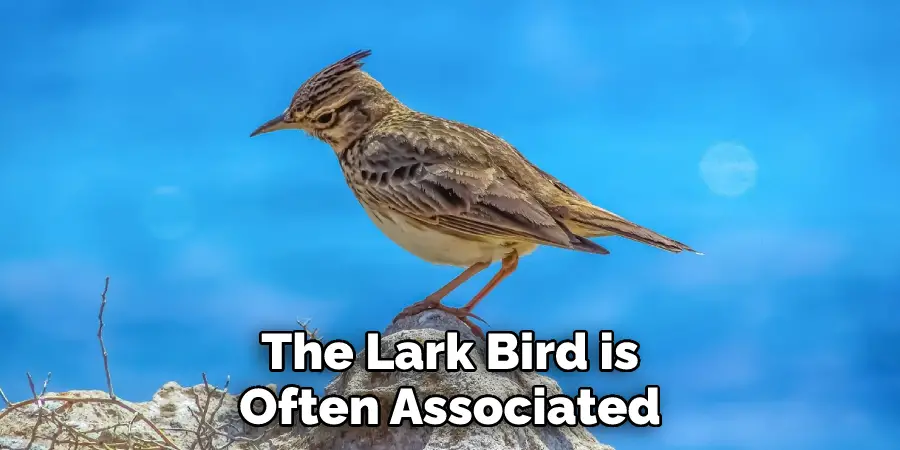 The Lark Bird is
Often Associated