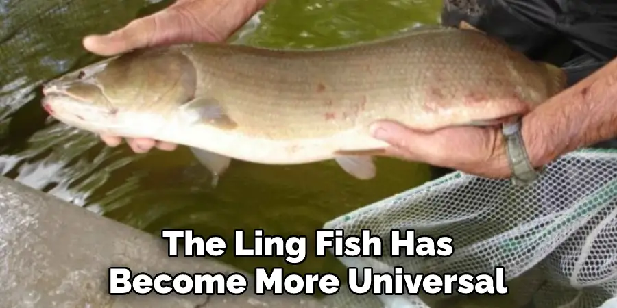 The Ling Fish Has
Become More Universal