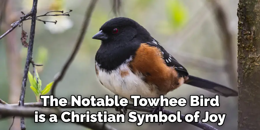 The Notable Towhee Bird is a Christian Symbol of Joy