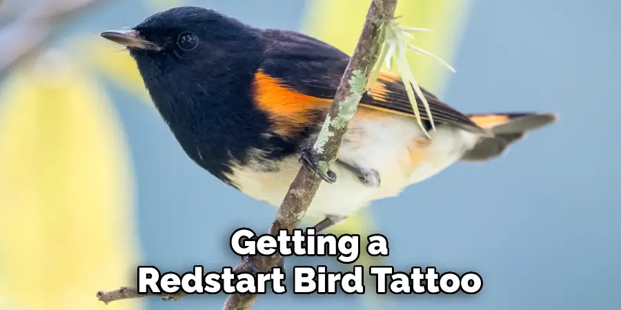 Getting a
Redstart Bird Tattoo