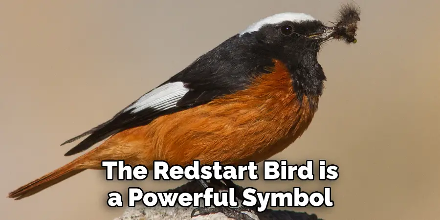 The Redstart Bird is a Powerful Symbol