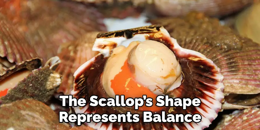 The Scallop’s Shape Represents Balance
