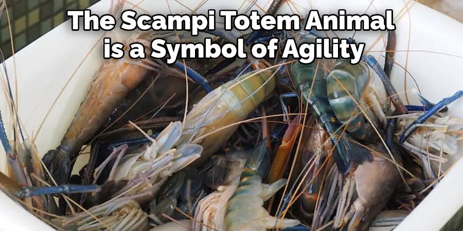 The Scampi Totem Animal is a Symbol of Agility
