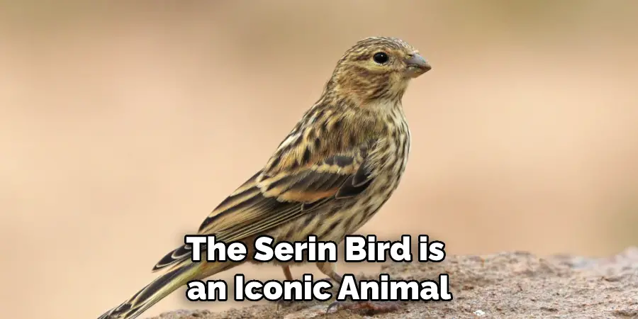 The Serin Bird is an Iconic Animal