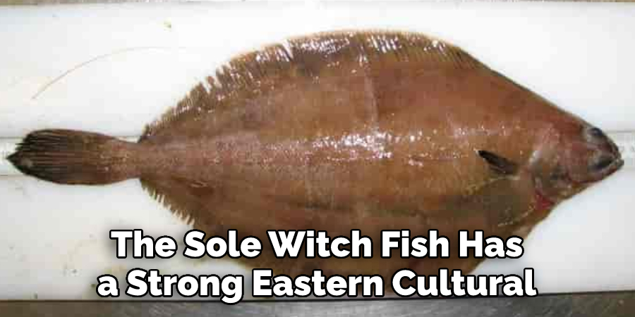 The Sole Witch Fish Has a Strong Eastern Cultural