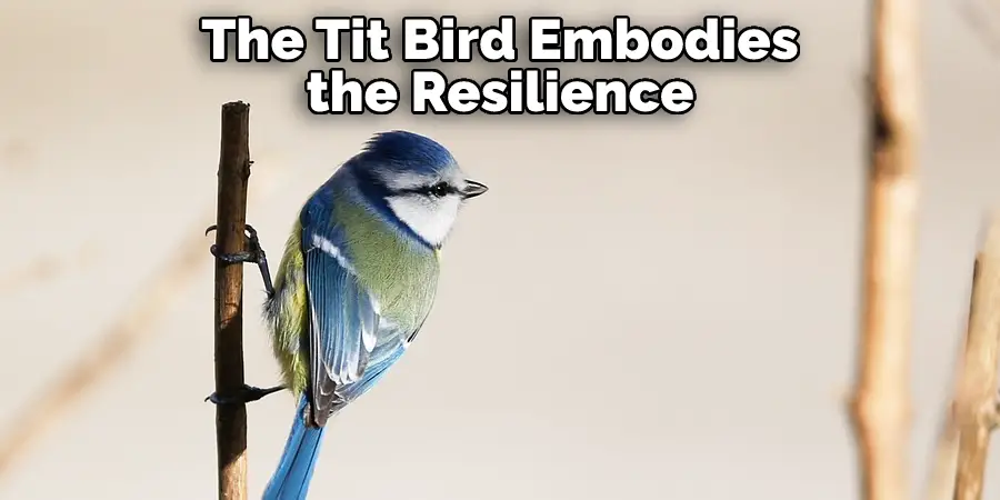 The Tit Bird Embodies
the Resilience