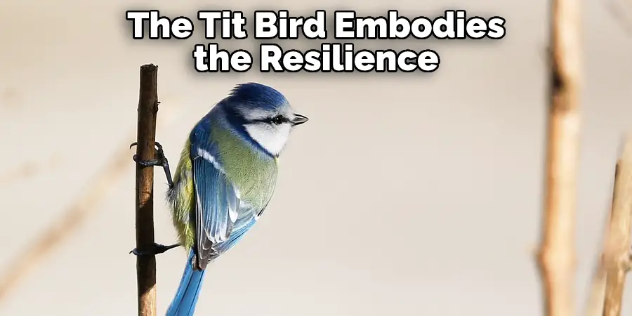 What Do Blue Tits Symbolise? Exploring the Meaning and Magic of