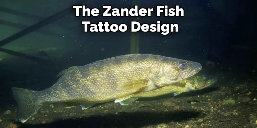 The Zander Fish 
Tattoo Design