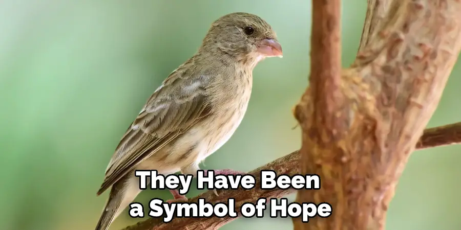 They Have Been a Symbol of Hope