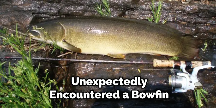 Unexpectedly Encountered a Bowfin