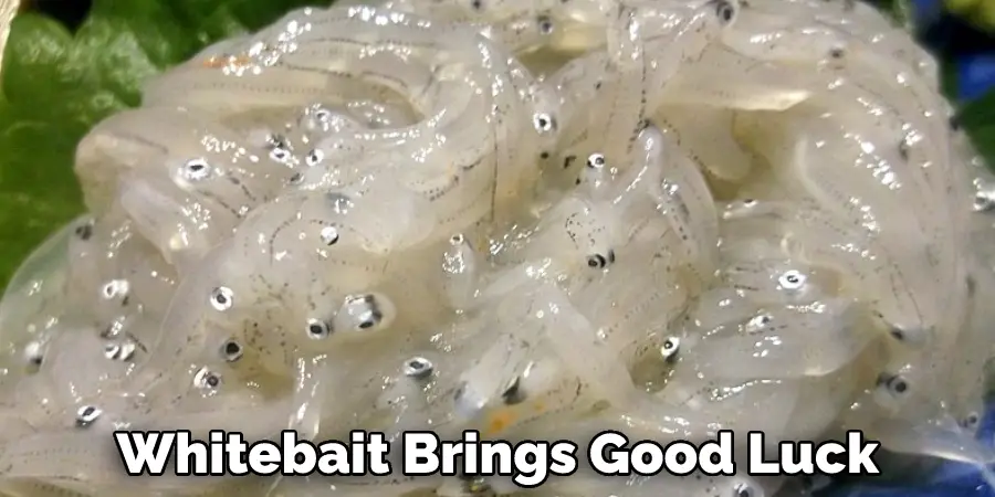 Whitebait Brings Good Luck