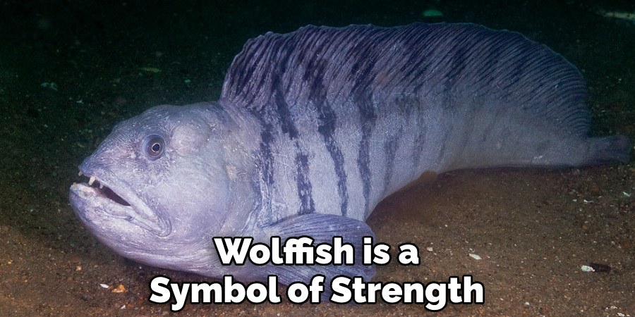 Wolffish is a Symbol of Strength