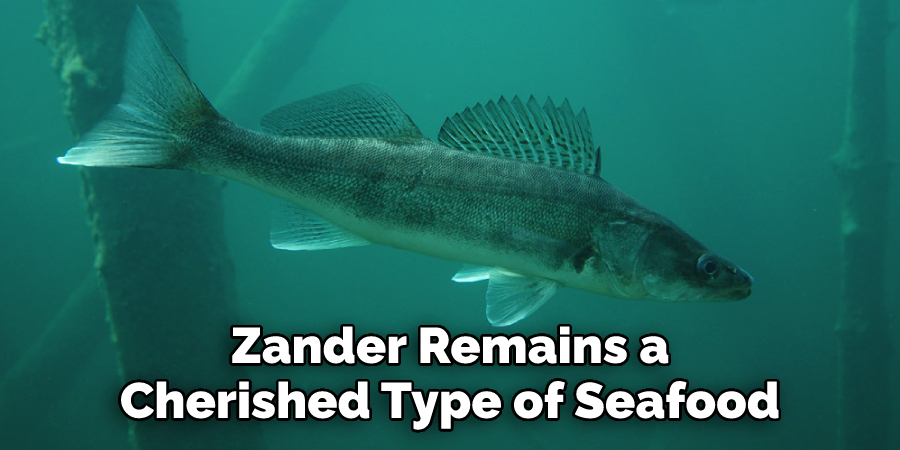 Zander Remains a Cherished Type of Seafood