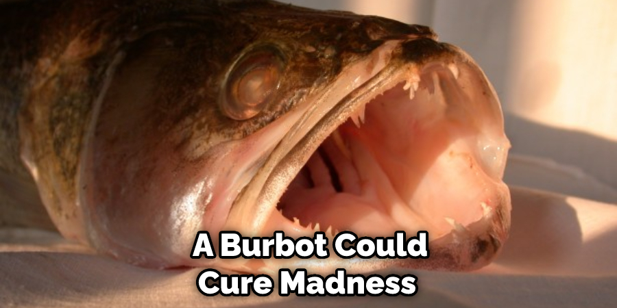  a Burbot Could Cure Madness