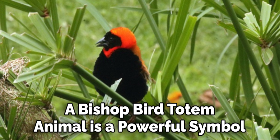 A Bishop Bird Totem Animal is a Powerful Symbol