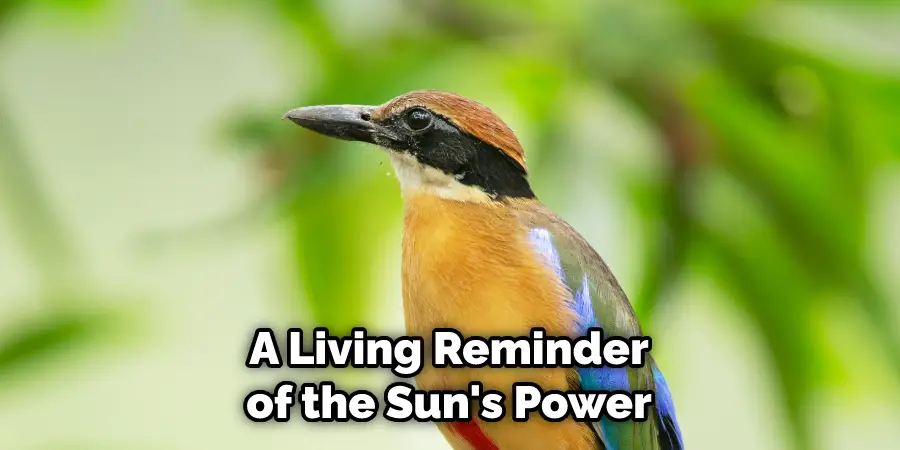 A Living Reminder of the Sun's Power