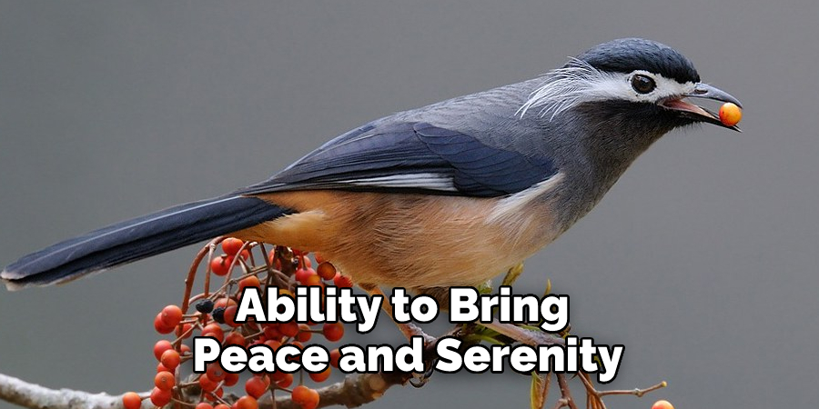 Ability to Bring 
Peace and Serenity