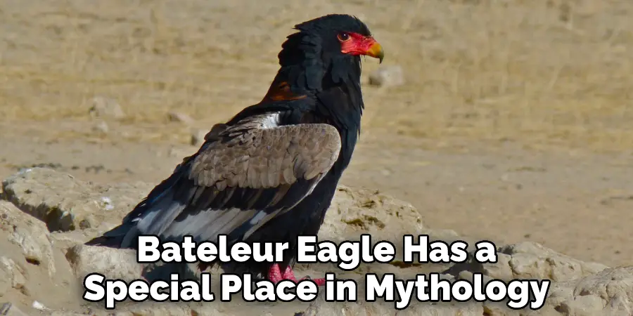 Bateleur Eagle Has a Special Place in Mythology