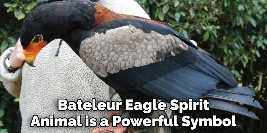 Bateleur Eagle Spirit Animal is a Powerful Symbol