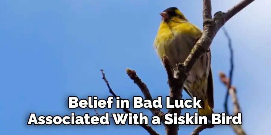 Belief in Bad Luck 
Associated With a Siskin Bird