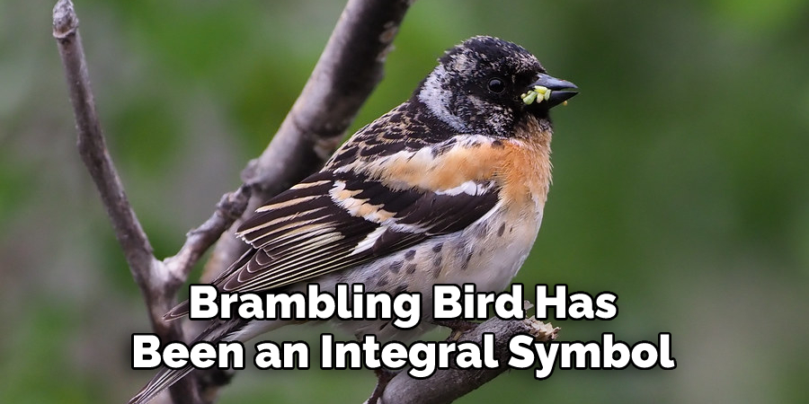 Brambling Bird Has 
Been an Integral Symbol