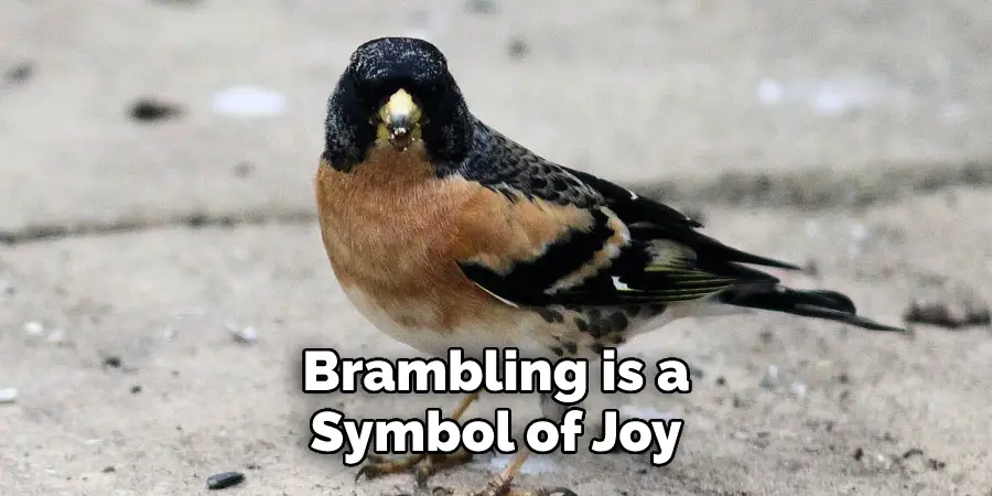 Brambling is a 
Symbol of Joy